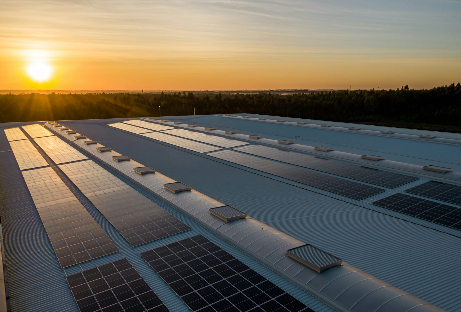Close-up of photovoltaic solar panels at sunset with warm light